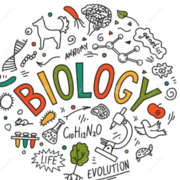 Bio 3030