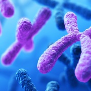 Genética (Diagnóstico Oral II)