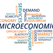 Microeconomics