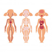 Physiology