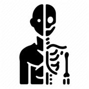 Anatomy and Physiology