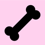 Musculoskeletal and Rheumatology