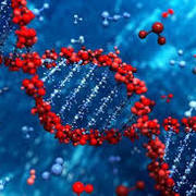 M4 Biochemistry