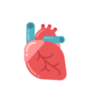 Cardiovascular Module