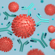 Immunology