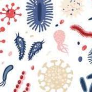 Microbio et pharmaco