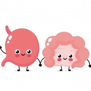 LR Gastrointestinal