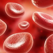 Hematologia