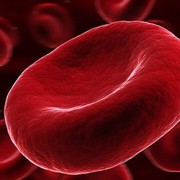 Hematology