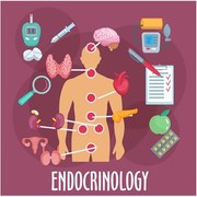 Endocrinology