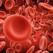 Life study - Hematologia
