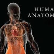 MEDICAL TERMINOLOGY