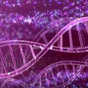 Molecular and Cellular Biology: