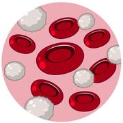Hematologia