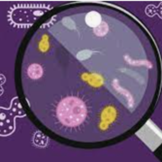 MICROBIOLOGY