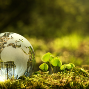 Environmental Science