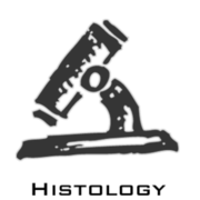 Histology