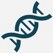 BLGY 1237 Introduction to Genetics