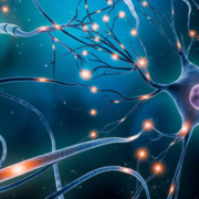 Neuro Unit 1