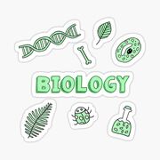 Biology 3013