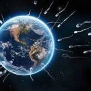 flash cards teorías del origen de la vida