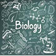 Bio