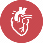 Biofluids: Intro. to Cardiovascular Mechanics