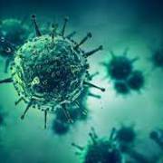 INFECTIOUS DISEASE