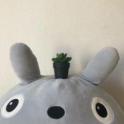 𝘩𝘪𝘴𝘵𝘰𝘳𝘺 𝘤𝘰𝘭𝘥 𝘸𝘢𝘳 𝘰𝘳𝘪𝘨𝘪𝘯𝘴: 𝘤𝘩𝘪𝘯𝘦𝘴𝘦 𝘤𝘰𝘮𝘮𝘶𝘯𝘪𝘴𝘵 𝘳𝘦𝘷𝘰𝘭𝘶𝘵𝘪𝘰𝘯