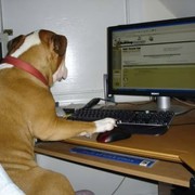 Computer Science