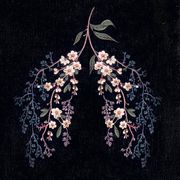 Respiratory System