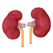 Nefrología