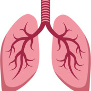 Respiratory