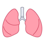 Respiratory