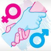 Sociology: Statistics / Evidence : Gender