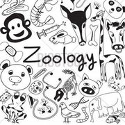 Zoology