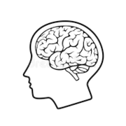 MED: Neurology