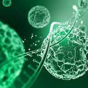 Biology 1