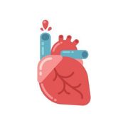Physiology - Principle block