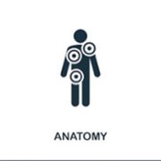 Anatomy (BIOL 365)