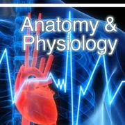 Anatomy & Physiology