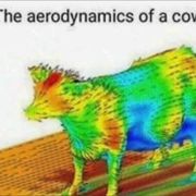 Science