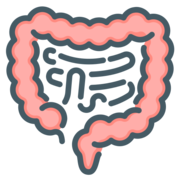 Gastro