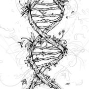 Biology