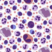 Histology