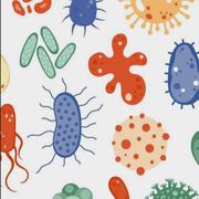 Biol 198