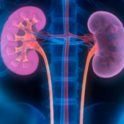 Renal
