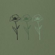 Fundamentals of Nursing