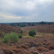 Landschappen van NL