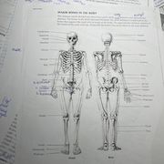 Physio